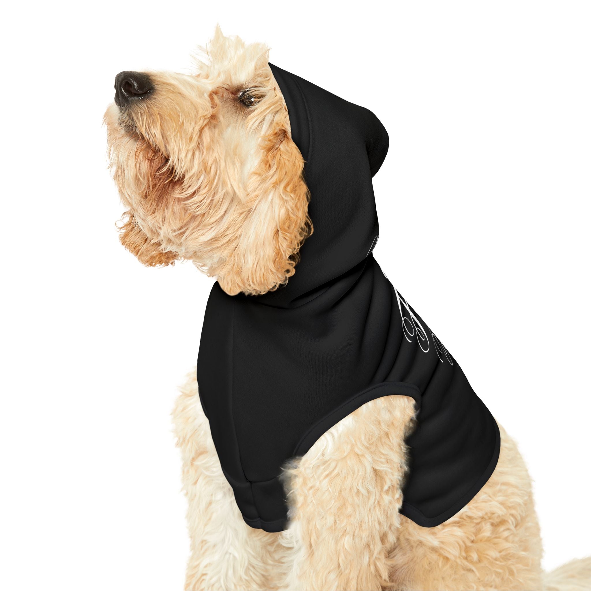 Custom Fuck Trump Pet Hoodie - Resist DC