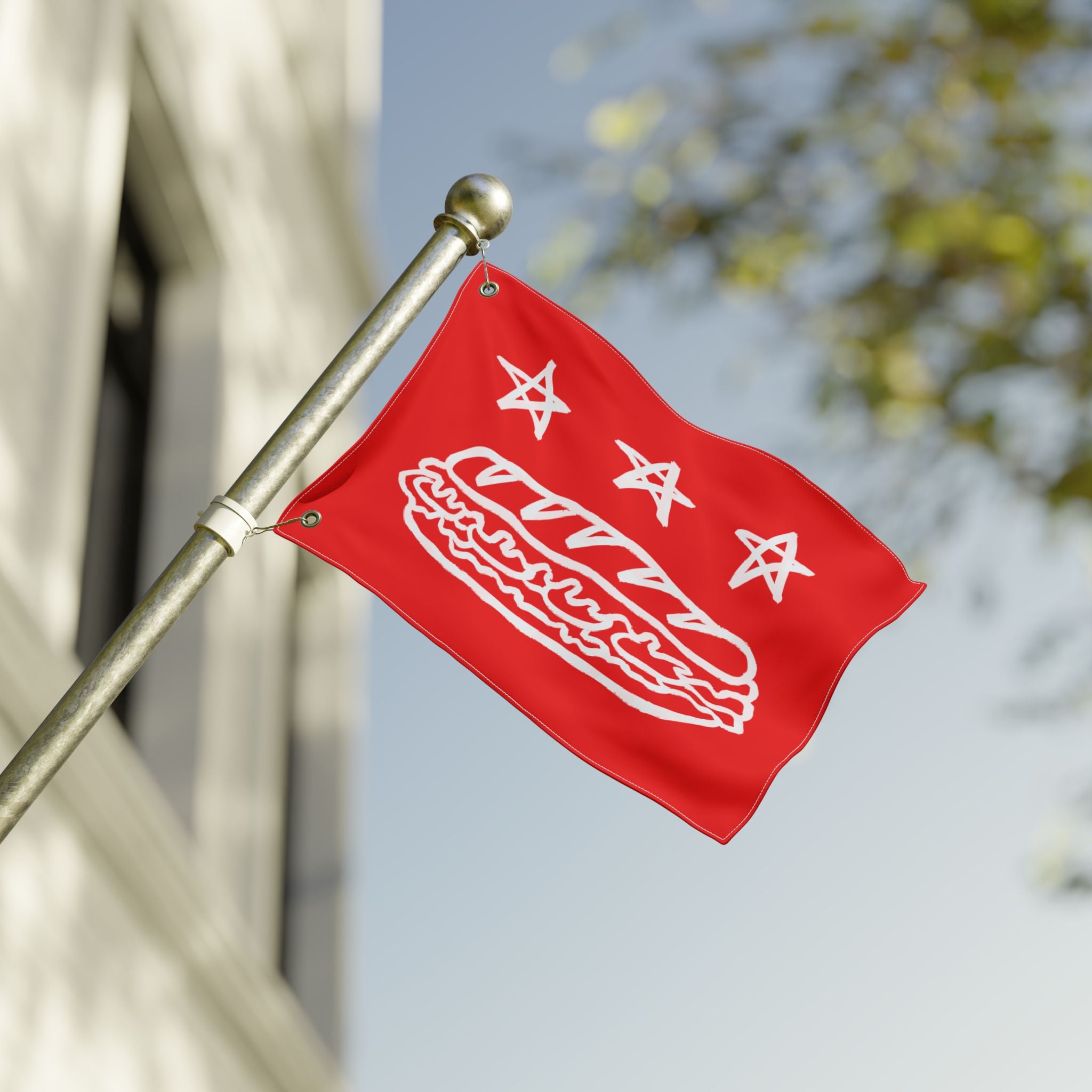 Free DC Flag (Sandwich Edition) - Resist DC