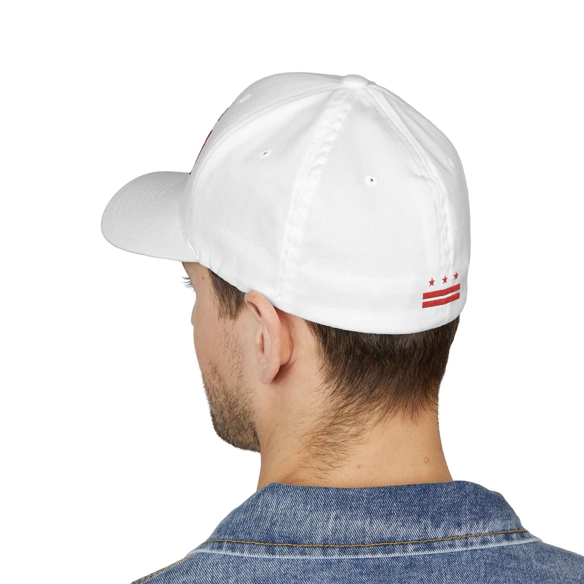 Embroidered FREE DC Sandwich Baseball Cap