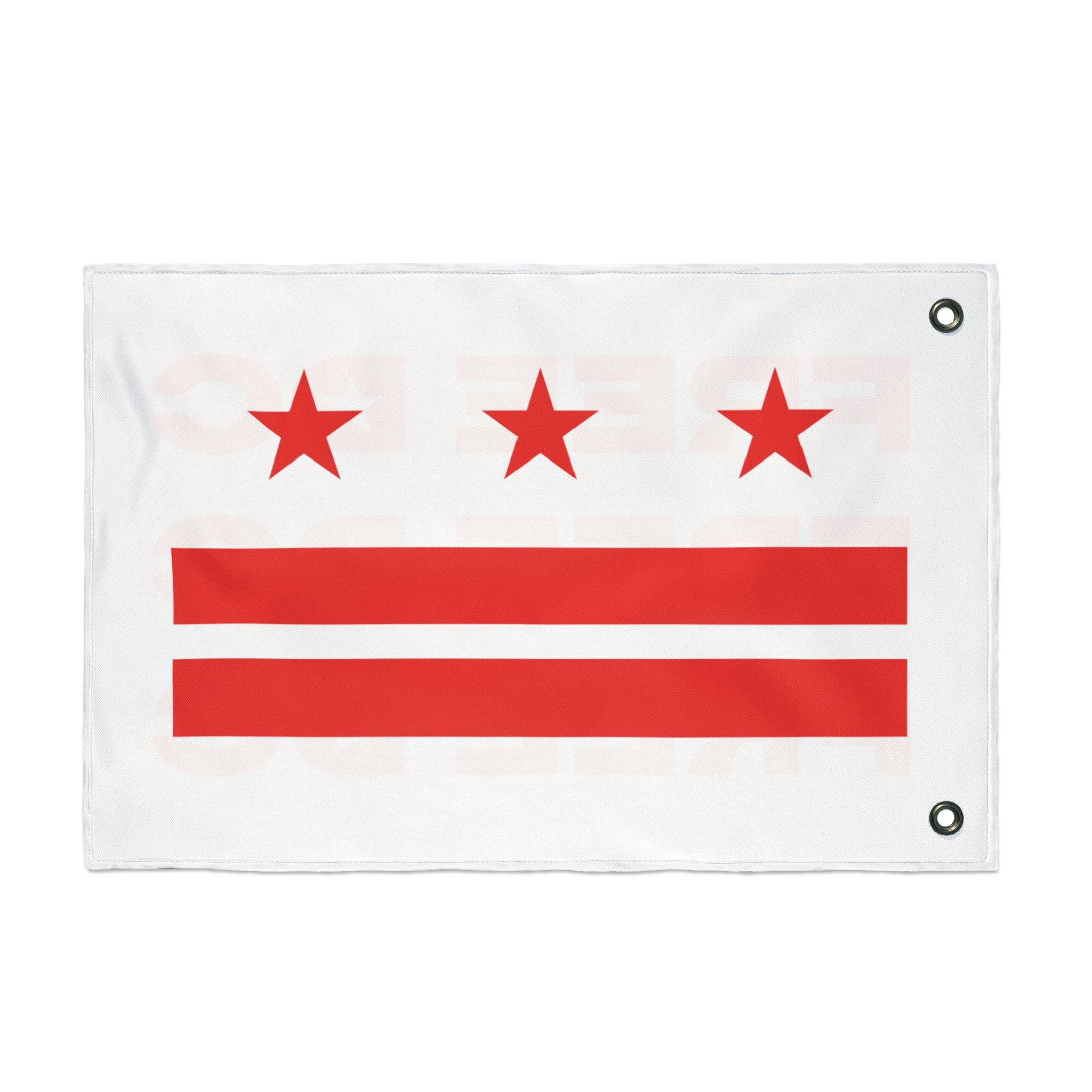 FREE DC Flag - Resist DC