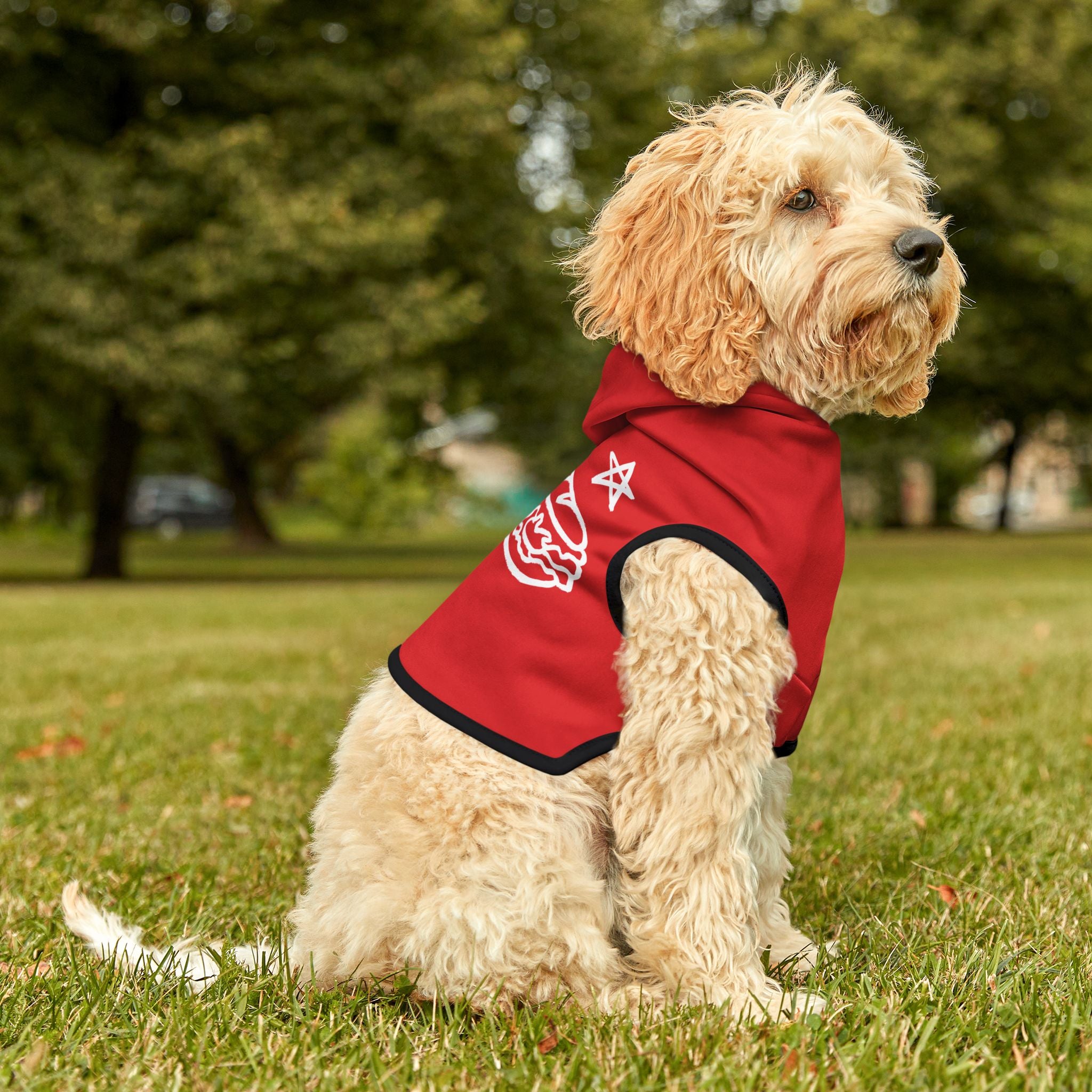 FREE DC (Sandwich Edition) Pet Hoodie - Resist DC