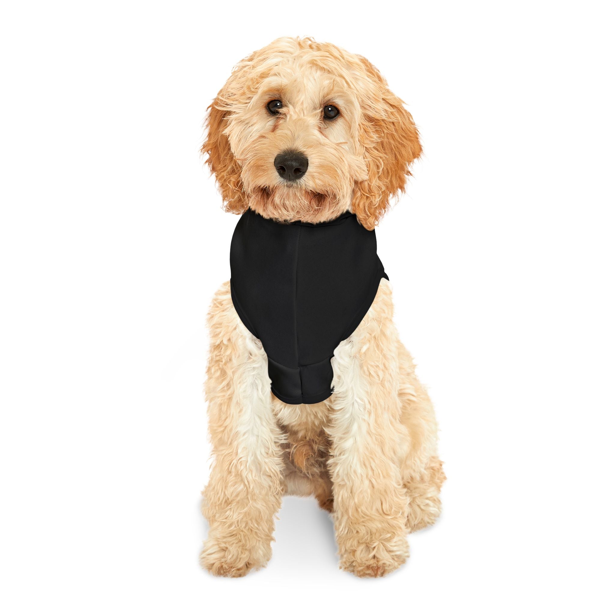 Custom Fuck Trump Pet Hoodie - Resist DC