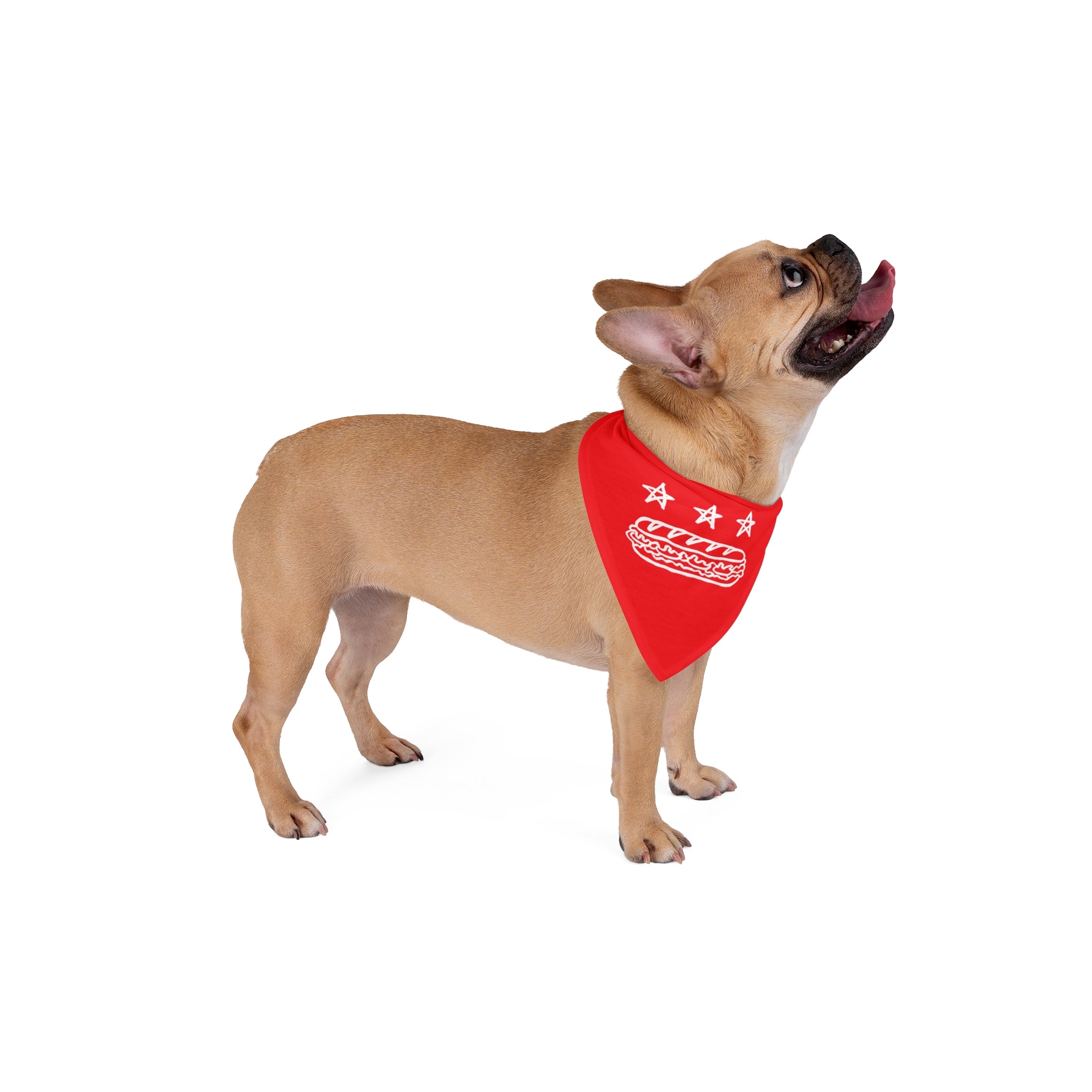 FREE DC (Sandwich Edition) Pet Bandana - Resist DC