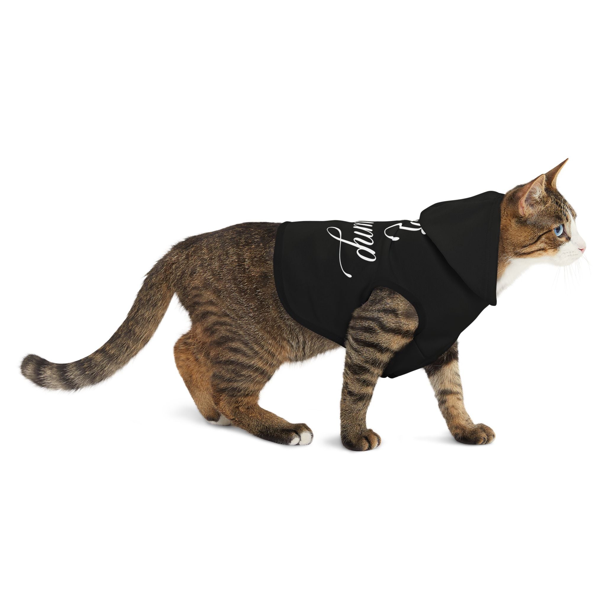 Custom Fuck Trump Pet Hoodie - Resist DC