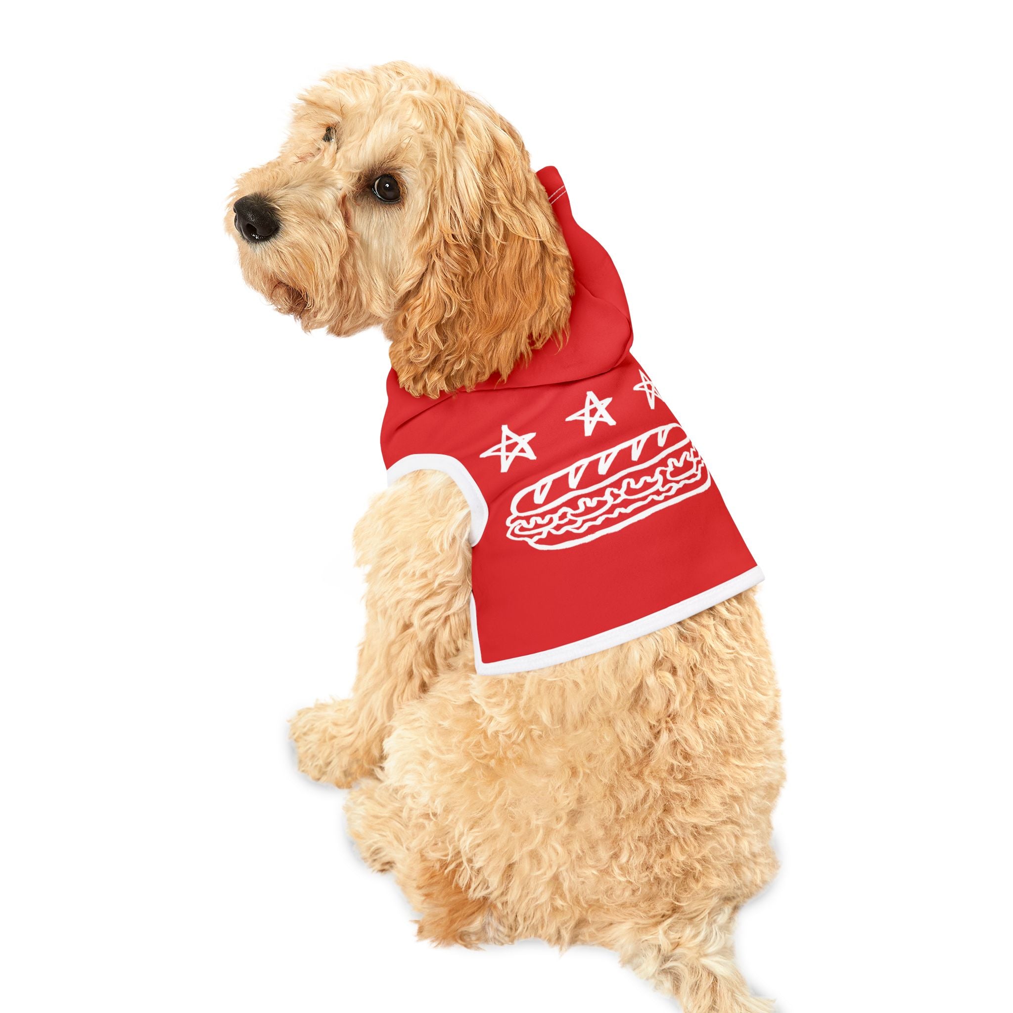 FREE DC (Sandwich Edition) Pet Hoodie - Resist DC