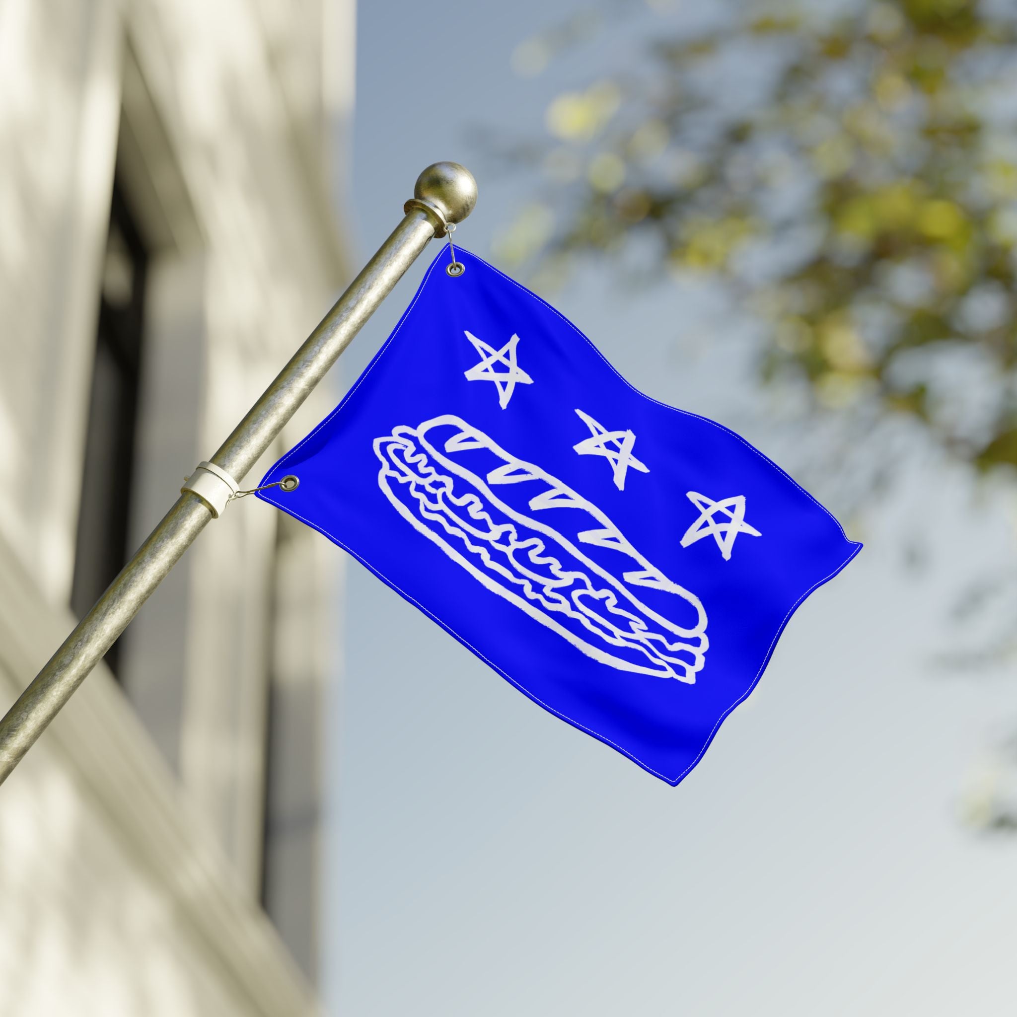 FREE DC Flag (Sandwich Edition) - Resist DC