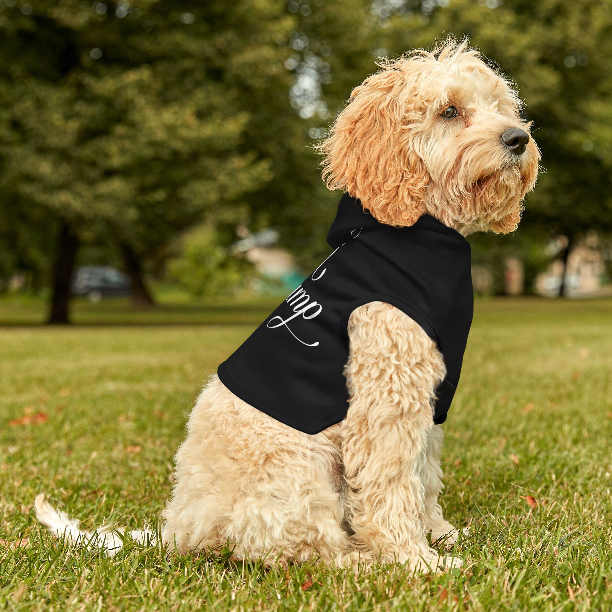 Custom Fuck Trump Pet Hoodie - Resist DC