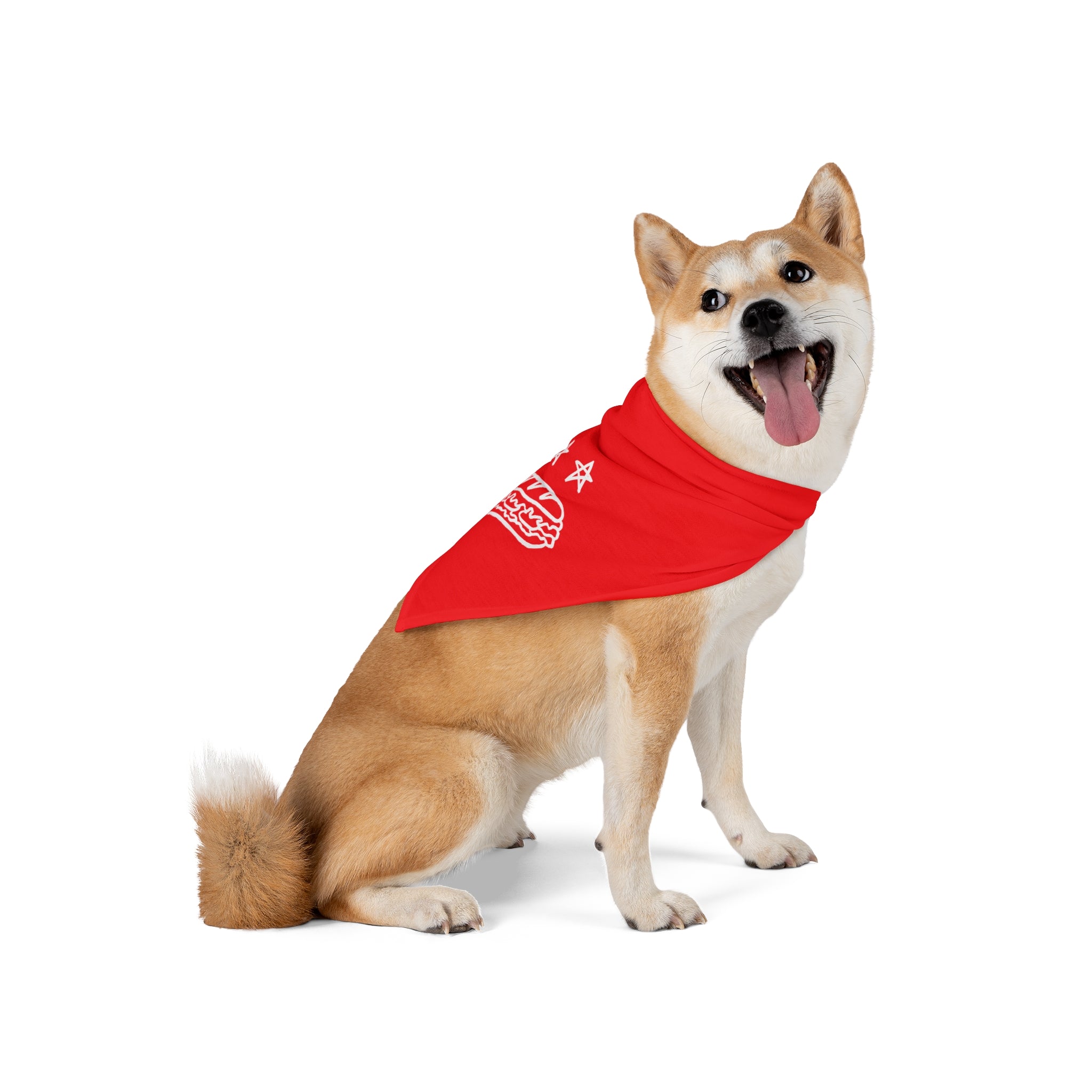 FREE DC (Sandwich Edition) Pet Bandana - Resist DC