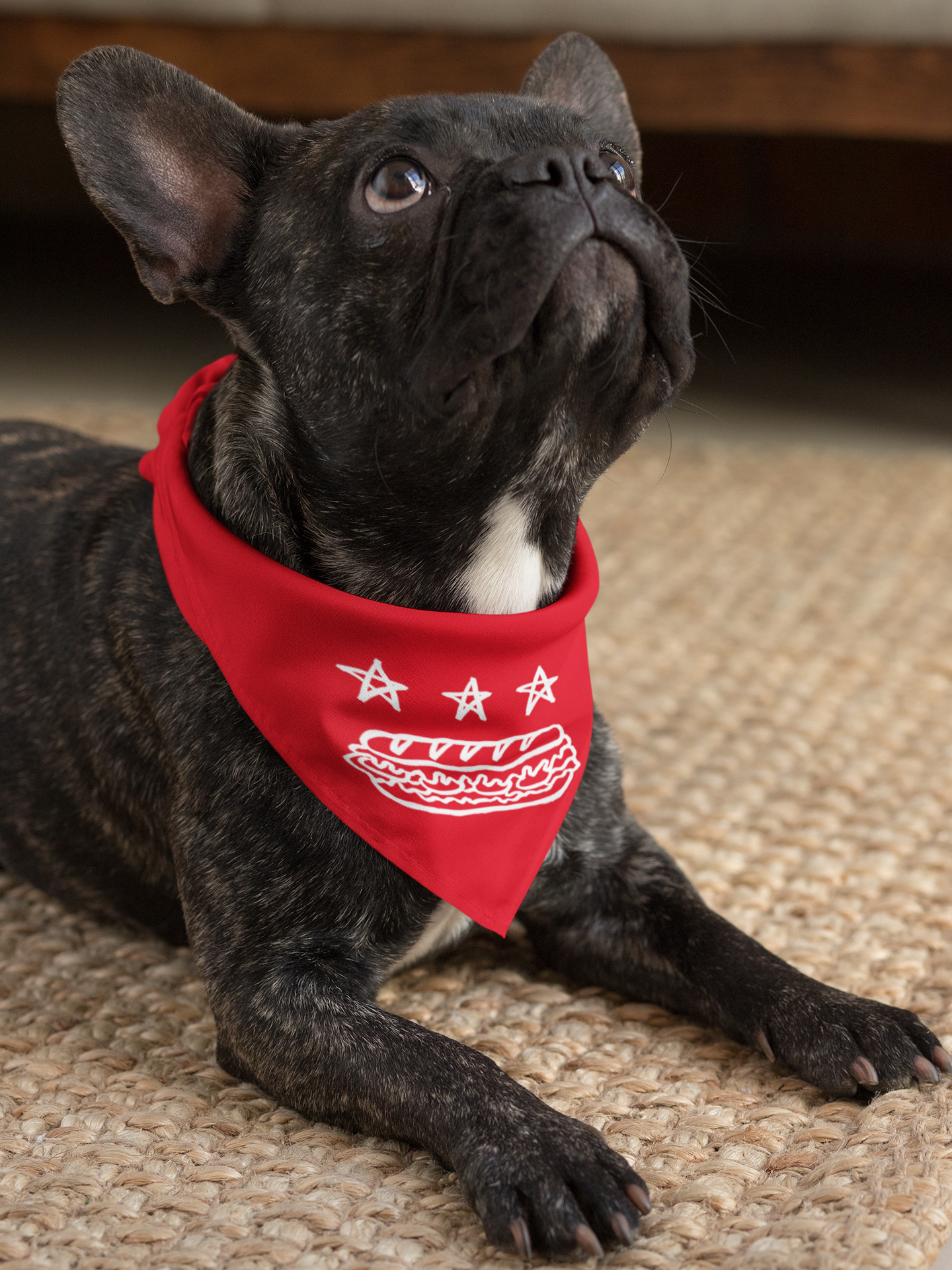 FREE DC (Sandwich Edition) Pet Bandana - Resist DC