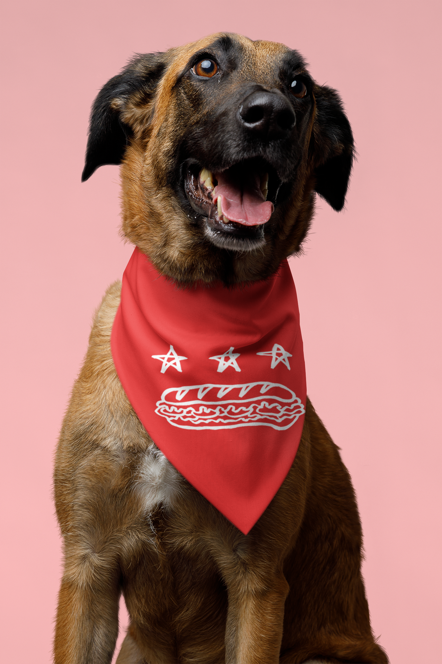 FREE DC (Sandwich Edition) Pet Bandana - Resist DC