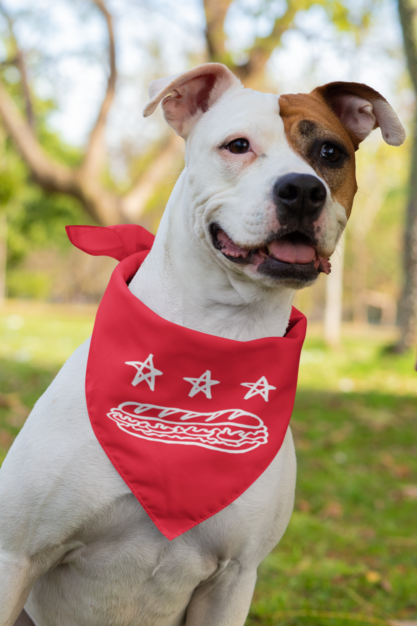 FREE DC (Sandwich Edition) Pet Bandana - Resist DC