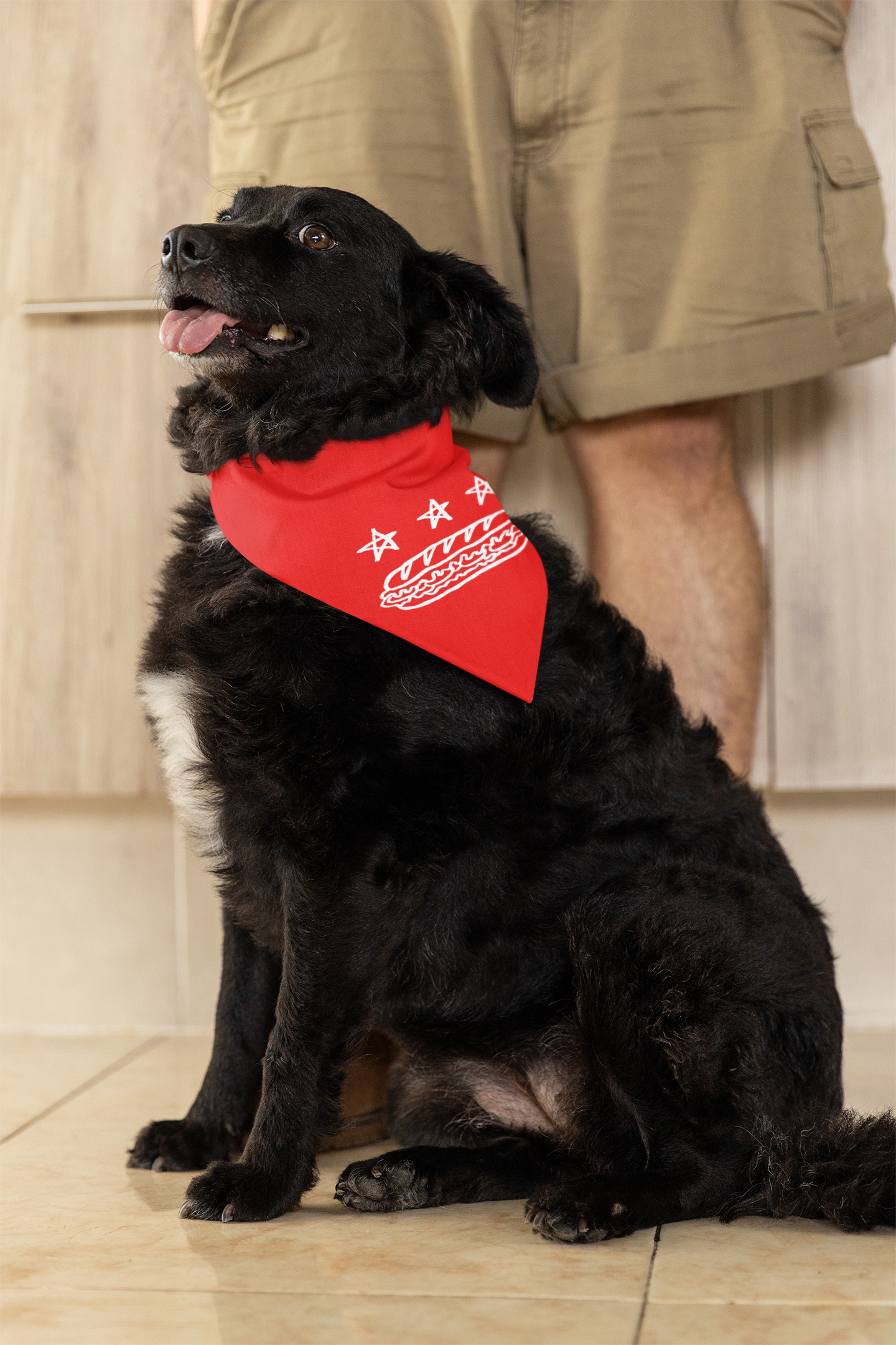 FREE DC (Sandwich Edition) Pet Bandana - Resist DC