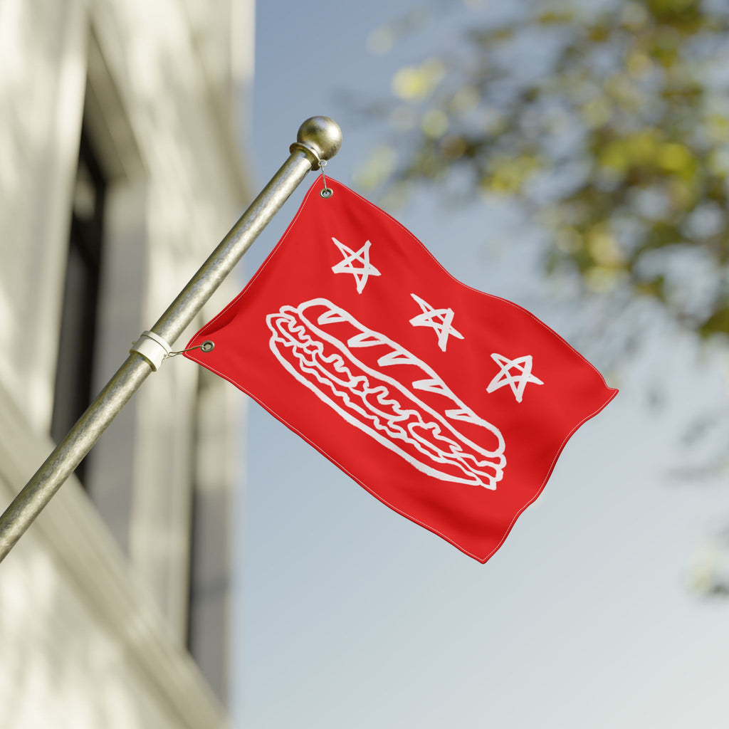 Free DC Flag (Sandwich Edition) - Resist DC