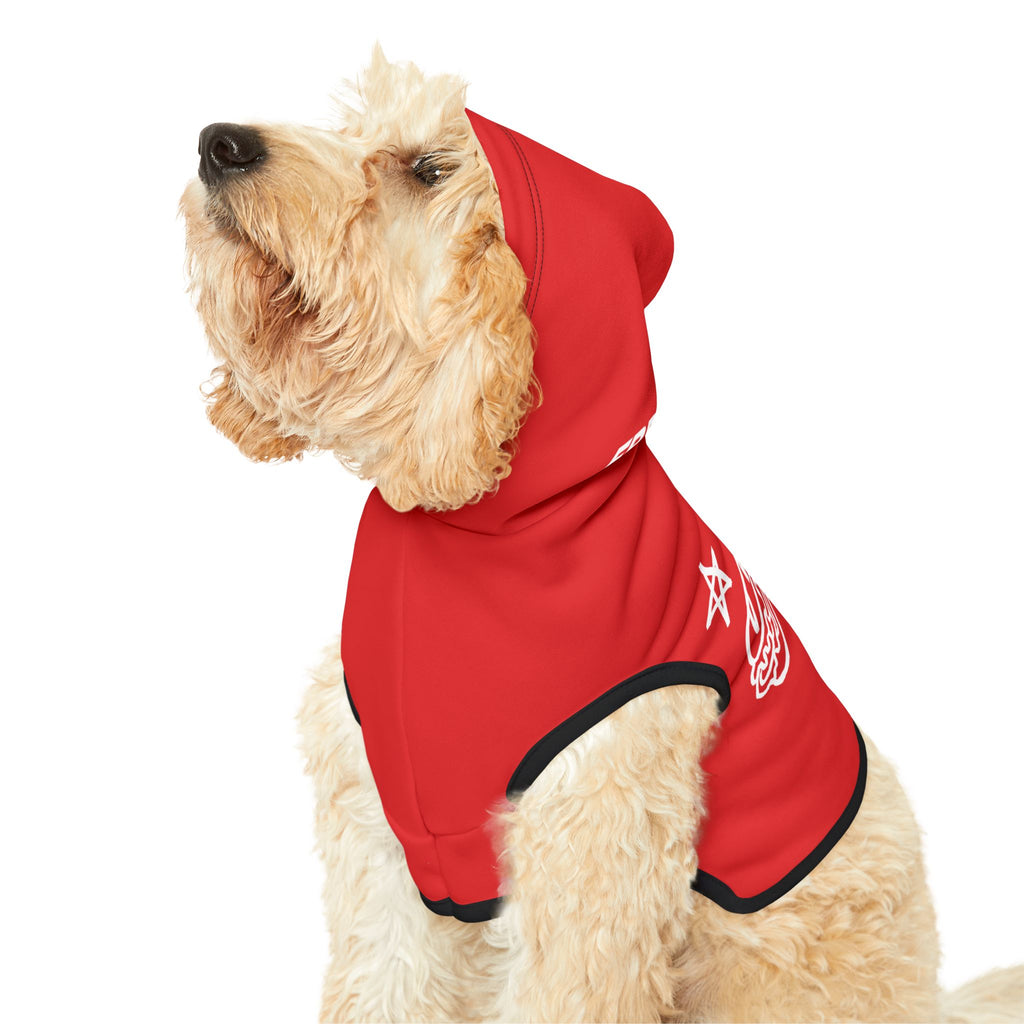 FREE DC (Sandwich Edition) Pet Hoodie - Resist DC