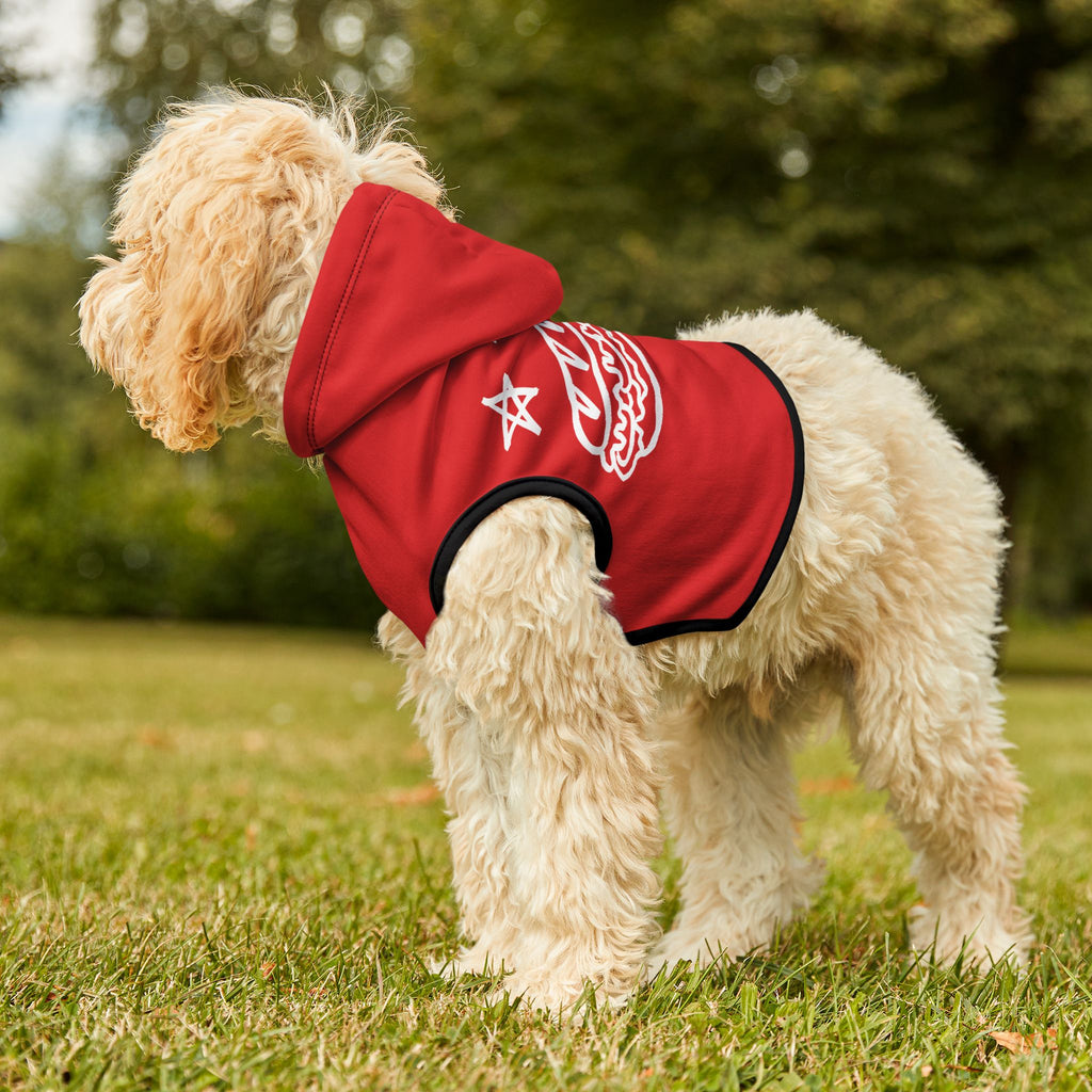 FREE DC (Sandwich Edition) Pet Hoodie - Resist DC