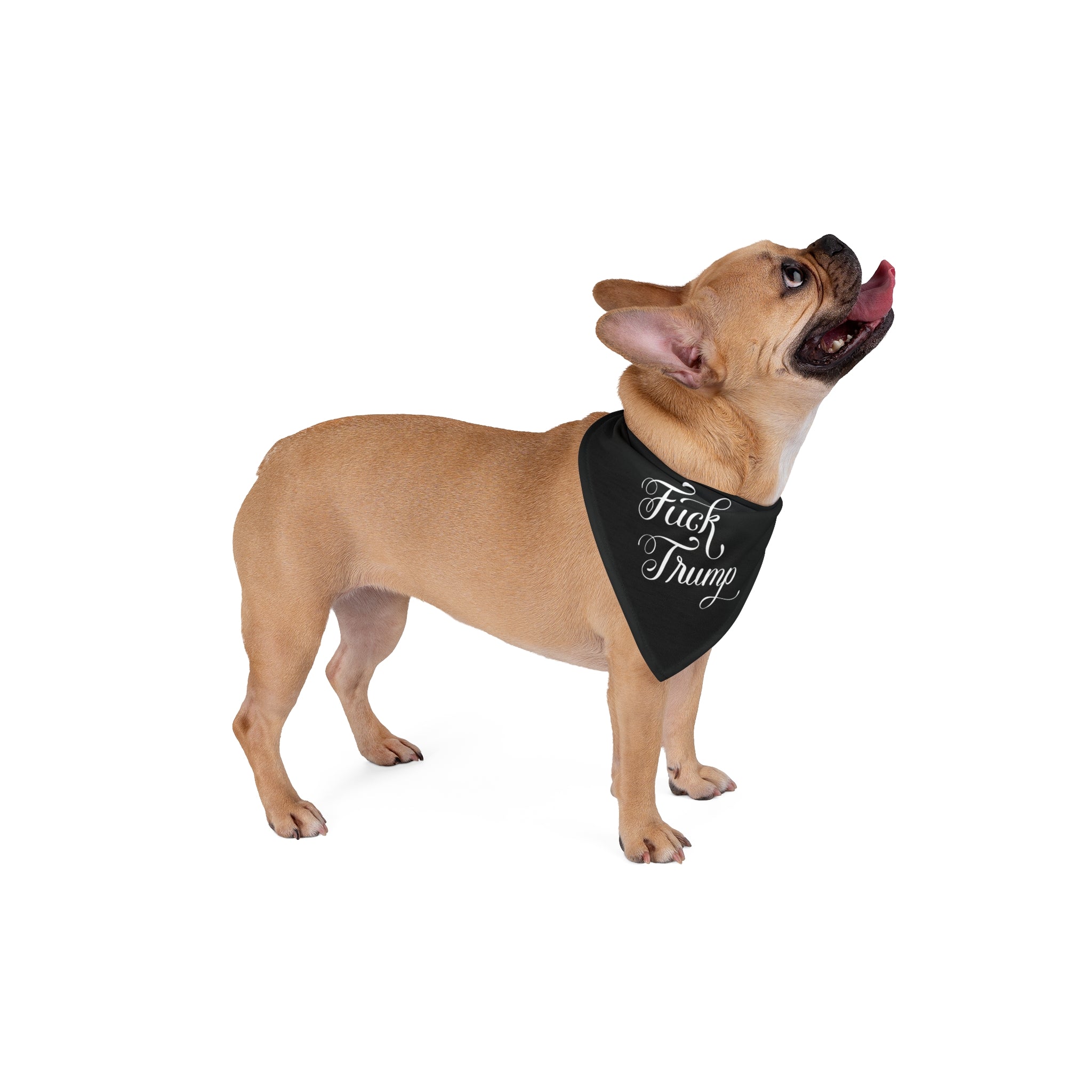 Fuck Trump Pet Bandana - Resist DC