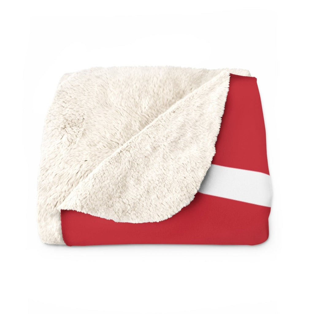 DC Sandwich Guy Les Miserables Blanket - The Resistance DC