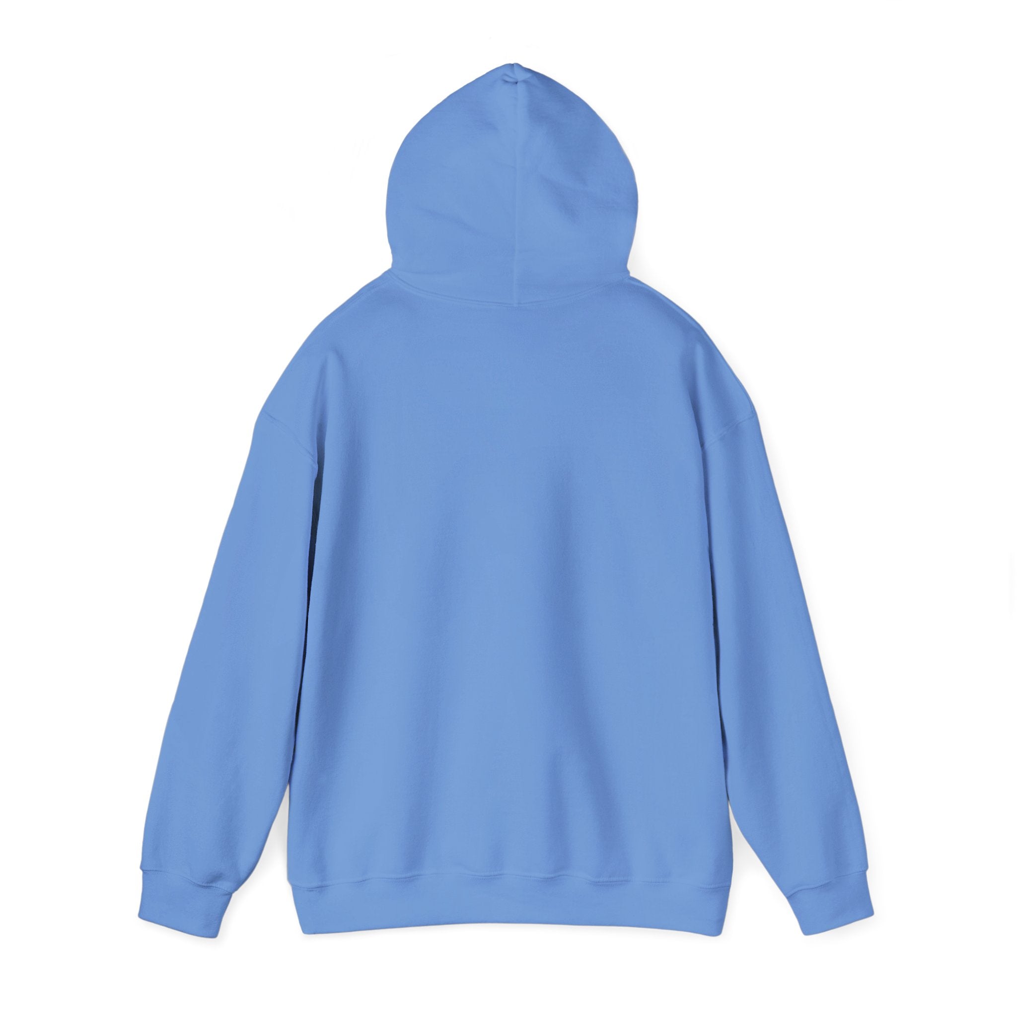 FUCK ICE Hoodie Sweatshirt