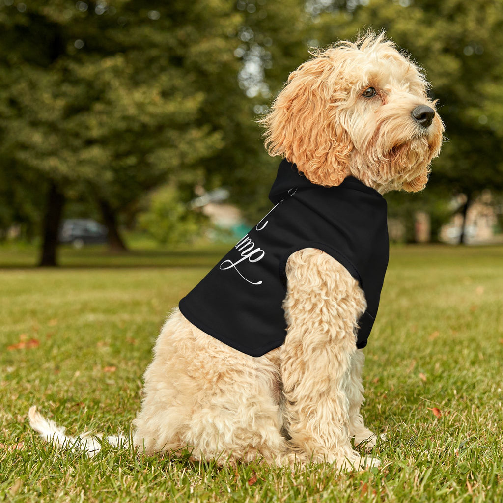 Custom Fuck Trump Pet Hoodie - Resist DC