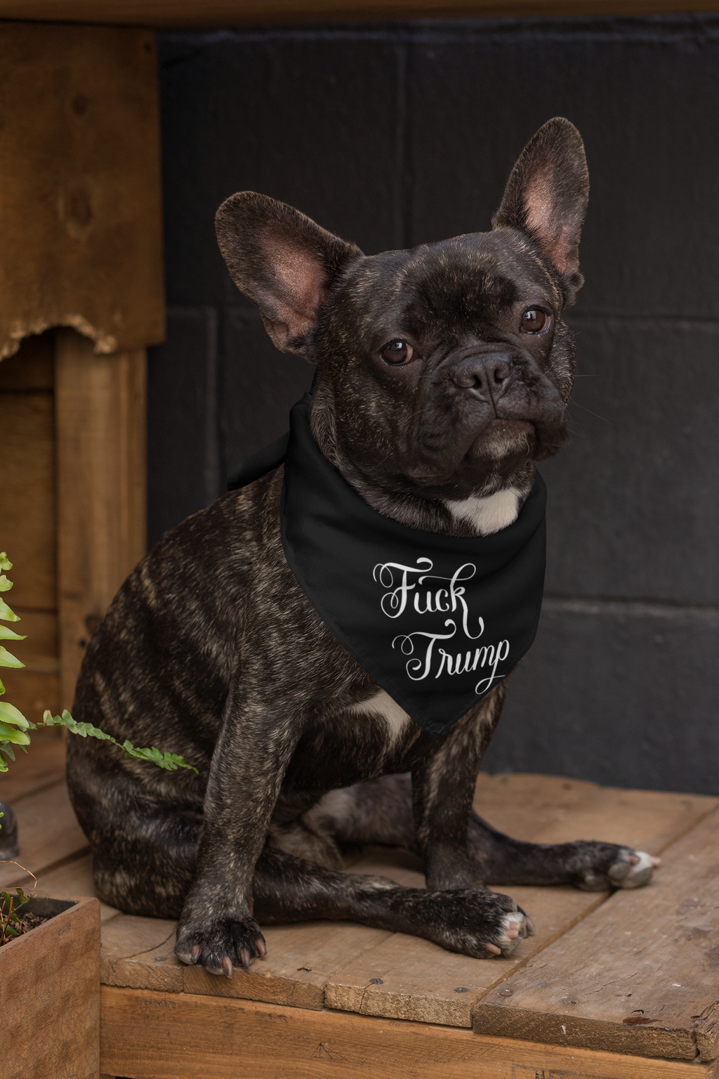 Fuck Trump Pet Bandana - Resist DC