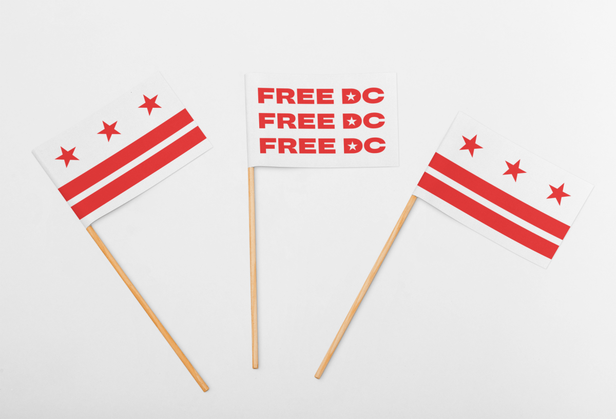 FREE DC Mini Flag (Set of 3) - The Resistance DC