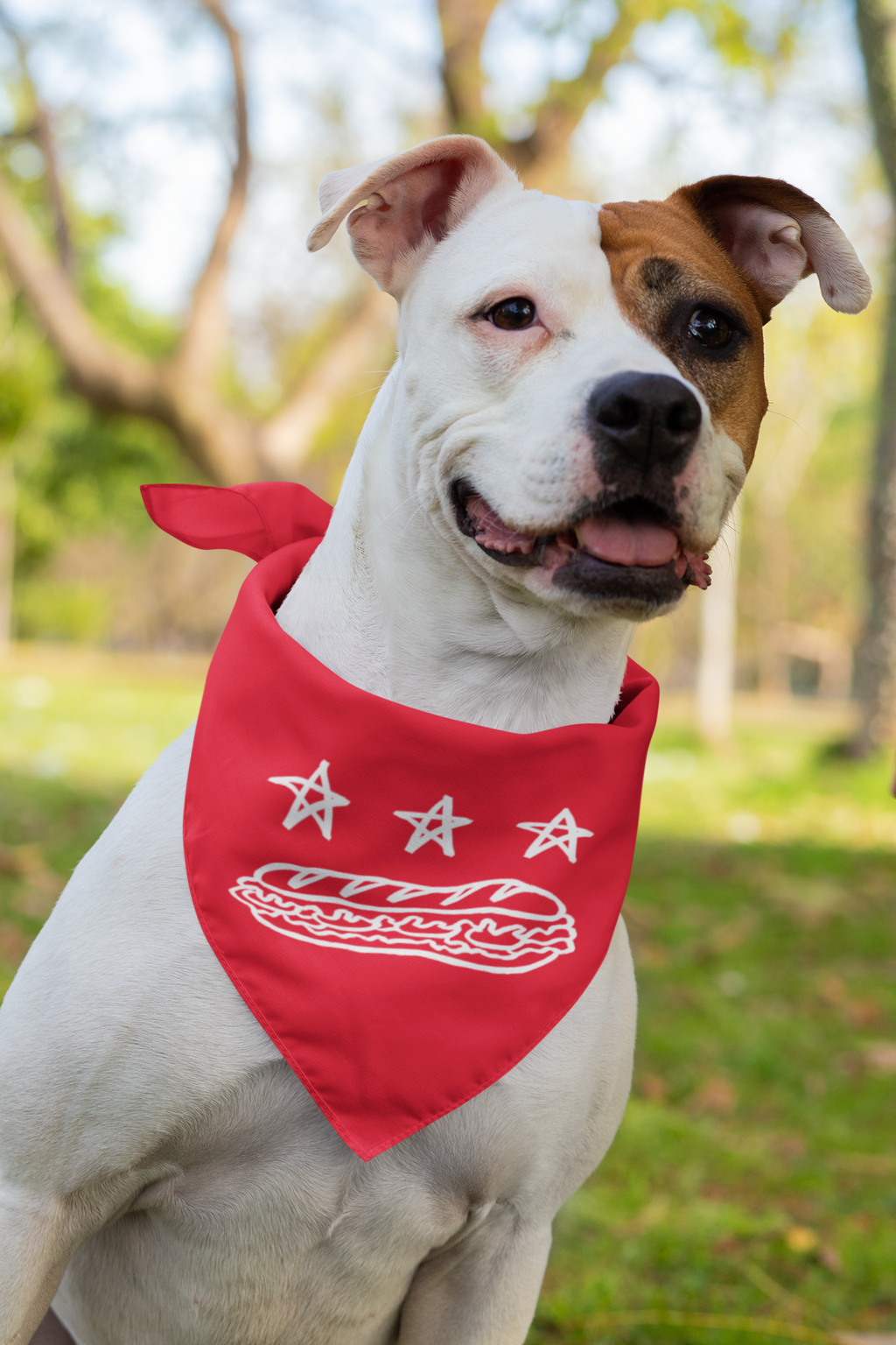 FREE DC (Sandwich Edition) Pet Bandana - Resist DC